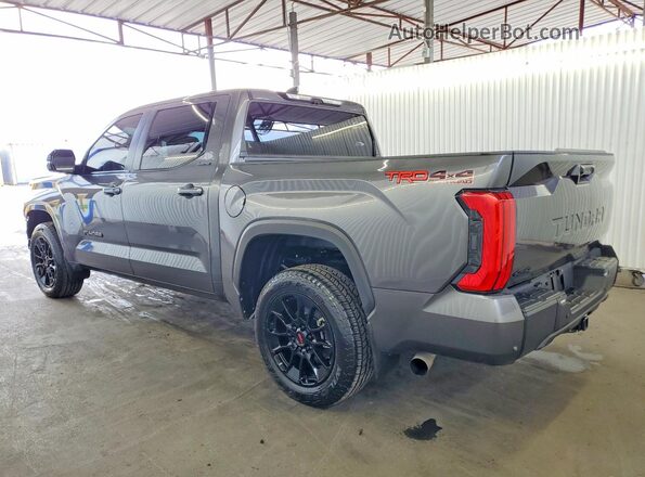 5TFWA5DB3SX309648 2025 TOYOTA TUNDRA Gray უკანა მარცხენა