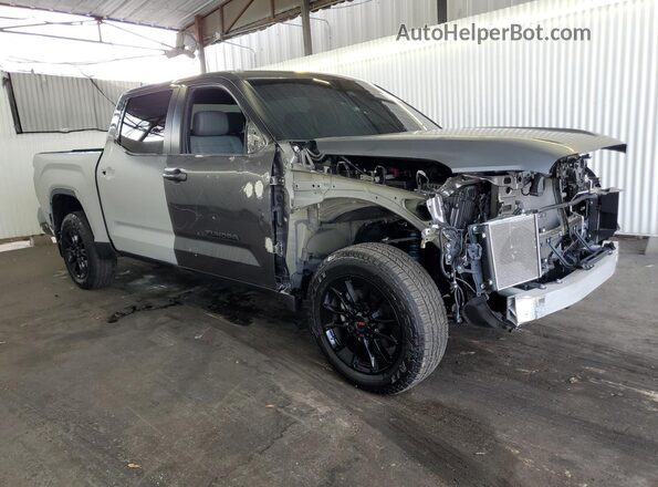 5TFWA5DB3SX309648 2025 TOYOTA TUNDRA Gray 