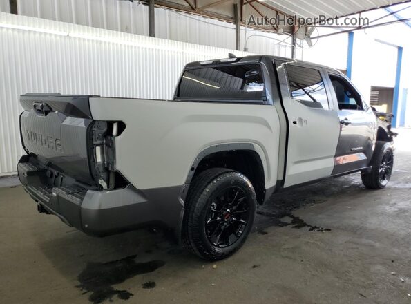 5TFWA5DB3SX309648 2025 TOYOTA TUNDRA Gray 