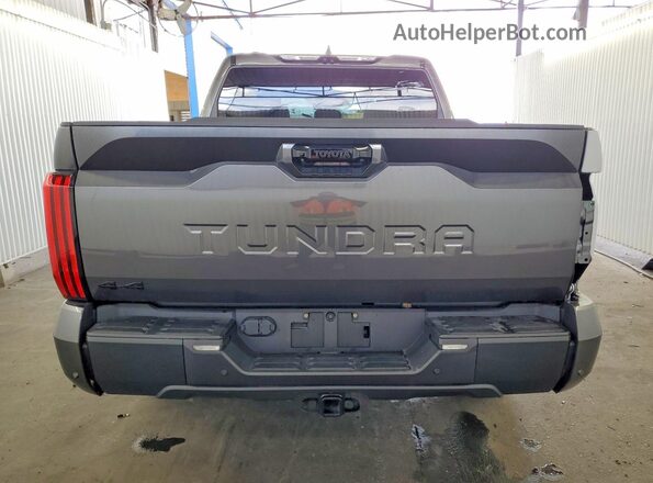 5TFWA5DB3SX309648 2025 TOYOTA TUNDRA Gray უკანა ხედი