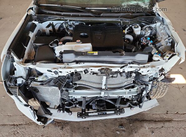 5TFWA5DB4TX358018 2026 TOYOTA TUNDRA White Սալոնի հետևի տեսք