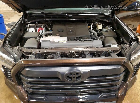 5TFWA5DB6SX299617 2025 TOYOTA TUNDRA Brown Widok wnętrza z tyłu