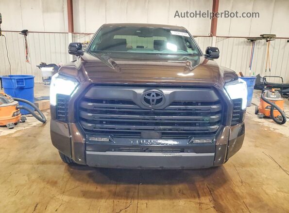 5TFWA5DB6SX299617 2025 TOYOTA TUNDRA Brown Widok z przodu