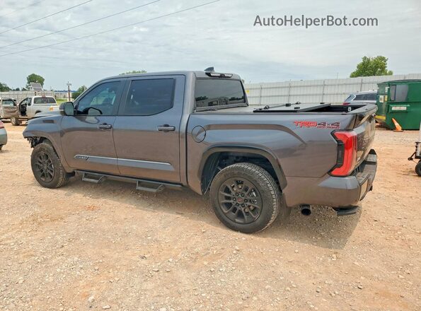 5TFWA5DB6TX399492 2026 TOYOTA TUNDRA Gray Tył lewy