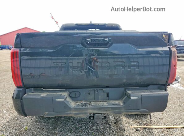 5TFWA5DB8RX224749 2024 TOYOTA TUNDRA Black Vista trasera