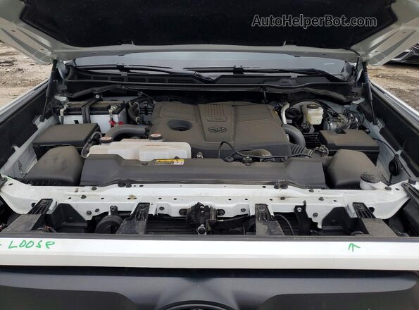 5TFWA5DB8SX267039 2025 TOYOTA TUNDRA White Սալոնի հետևի տեսք
