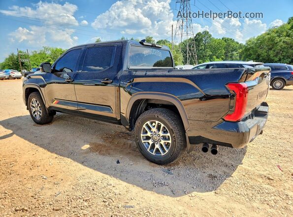 5TFWA5DBXSX256480 2025 TOYOTA TUNDRA Black უკანა მარცხენა