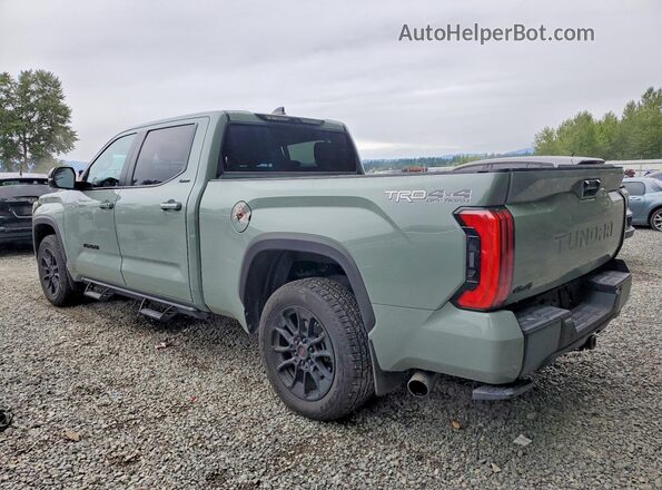 5TFWA5EC2SX046141 2025 TOYOTA TUNDRA Green Հետևի ձախ