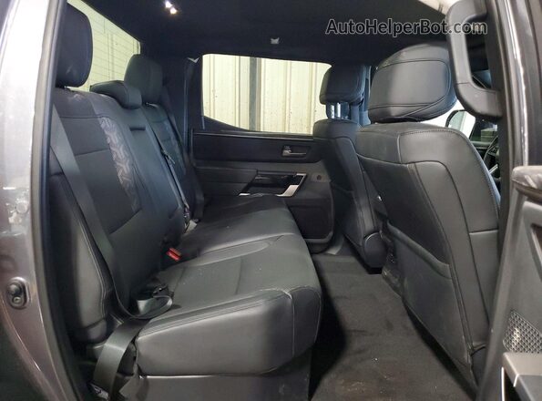 5TFWA5EC8SX037329 2025 TOYOTA TUNDRA Серый Вид задних сидений