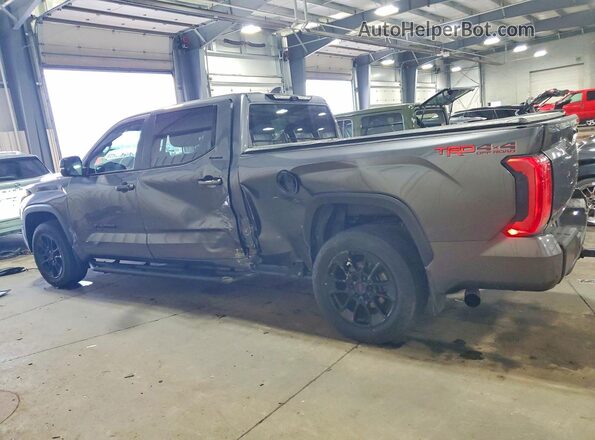 5TFWA5EC8SX037329 2025 TOYOTA TUNDRA Серый Задняя левая четверть