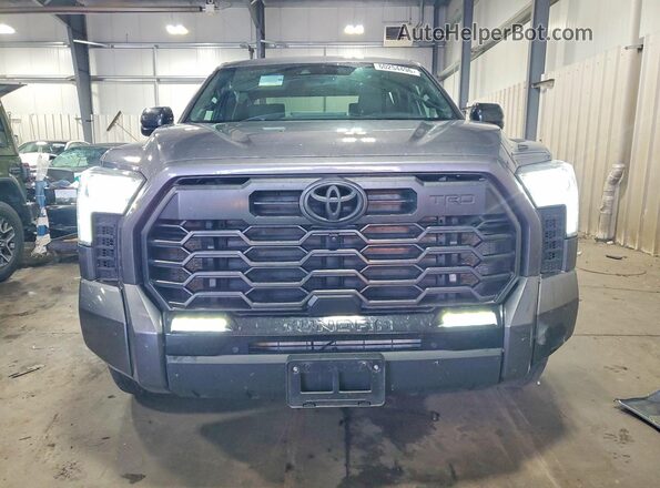 5TFWA5EC8SX037329 2025 TOYOTA TUNDRA Серый Вид спереди