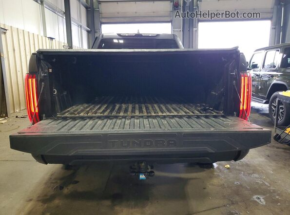 5TFWA5EC8SX037329 2025 TOYOTA TUNDRA Серый Вид сзади