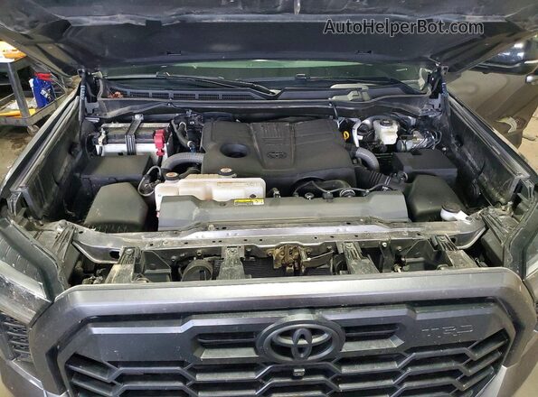 5TFWA5EC8SX037329 2025 TOYOTA TUNDRA Серый Вид задней части салона