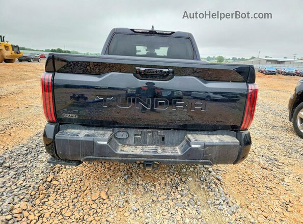 5TFWC5DB7RX045130 2024 TOYOTA TUNDRA Black უკანა ხედი