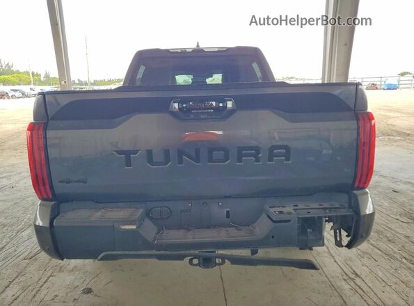 5TFWC5DB8RX074782 2024 TOYOTA TUNDRA Black Вид ззаду