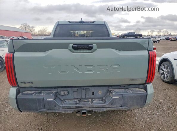 5TFWC5EC4SX008341 2025 TOYOTA TUNDRA Green Vista trasera