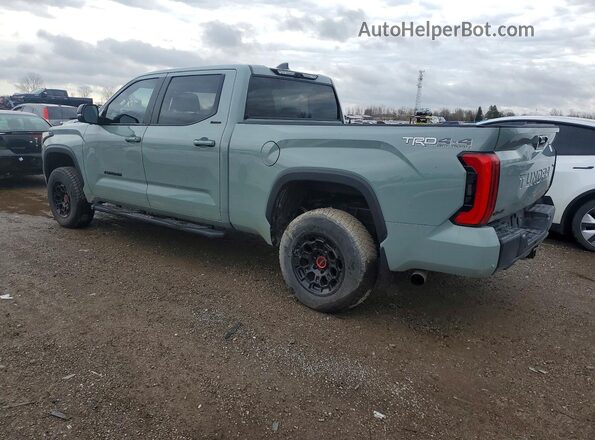 5TFWC5EC4SX008341 2025 TOYOTA TUNDRA Green Trasero izquierdo