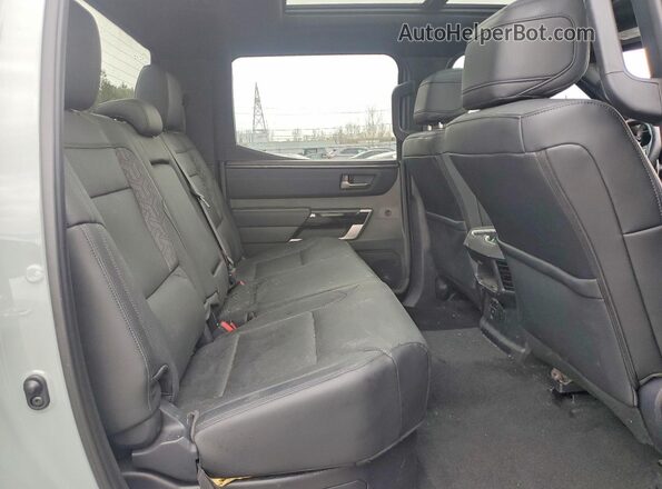 5TFWC5EC4SX008341 2025 TOYOTA TUNDRA Green Vista de los asientos traseros
