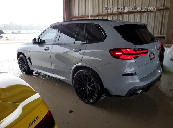 5UX13EU02R9U24290 2024 BMW X5 Gray Rear left
