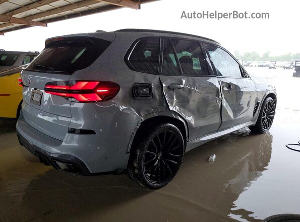 5UX13EU02R9U24290 2024 BMW X5 Gray Rear right