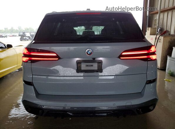 5UX13EU02R9U24290 2024 BMW X5 Gray Rear view