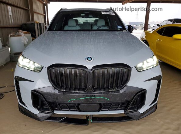5UX13EU02R9U24290 2024 BMW X5 Gray Front view