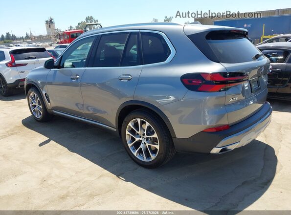 5UX13EU06S9Y91024 2025 BMW X5 Silver უკანა მარცხენა