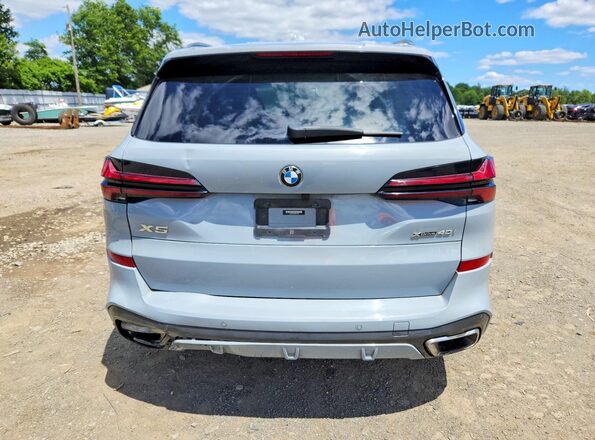 5UX23EU05R9S31166 2024 BMW X5 Gray Vista trasera