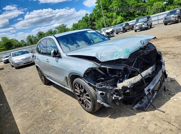 5UX23EU05R9S31166 2024 BMW X5 Gray Delantero derecho