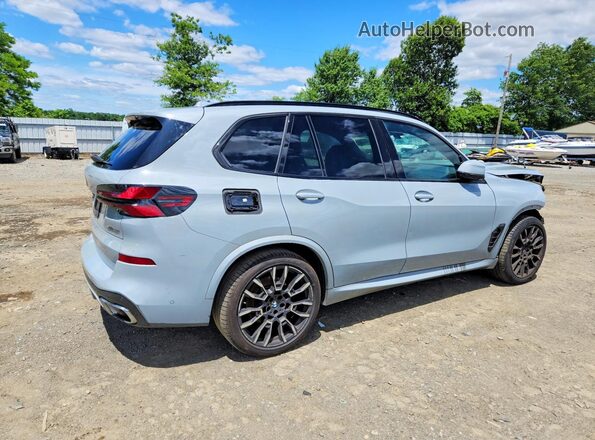 5UX23EU05R9S31166 2024 BMW X5 Gray Trasero derecho
