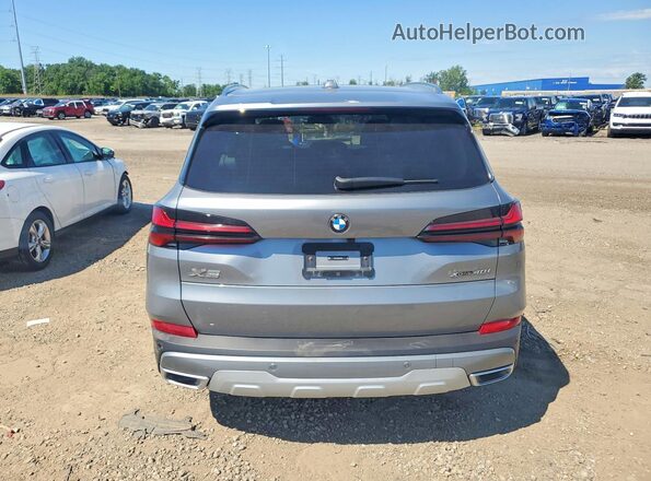 5UX23EU05R9V22900 2024 BMW X5 Серебряный Вид сзади
