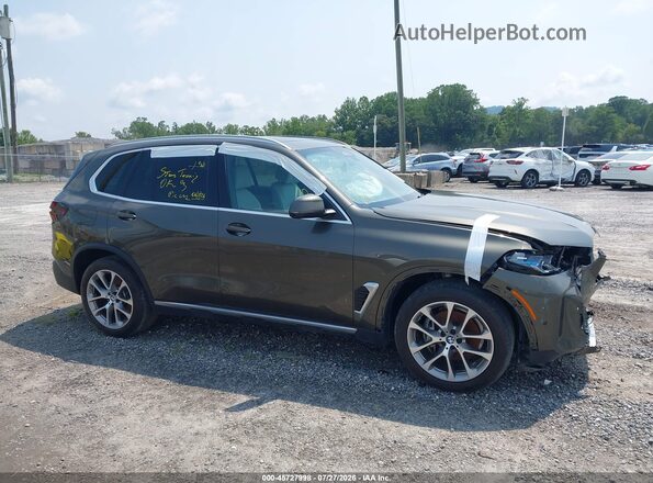 5UX23EU05S9W72060 2025 BMW X5 Green Widok wnętrza z tyłu