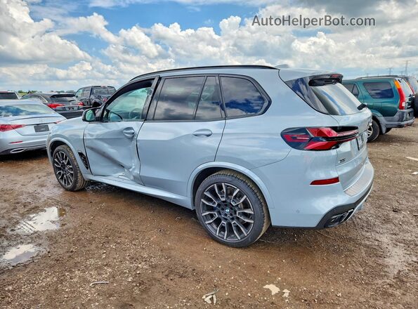 5UX33EU00S9W99297 2025 BMW X5 Silver უკანა მარცხენა