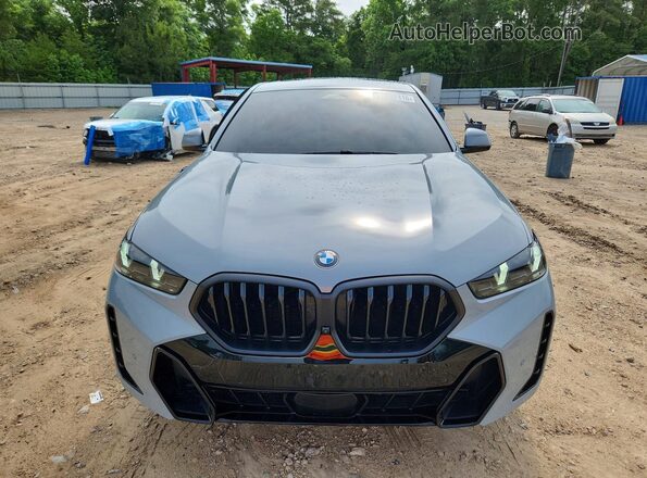5UX33EX03R9S31389 2024 BMW X6 Gray Front view