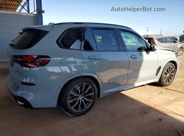 5UX43EU00R9S29494 2024 BMW X5 Gray Задня права чверть