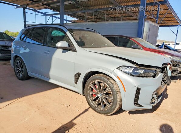 5UX43EU00R9S29494 2024 BMW X5 Gray Передня права чверть