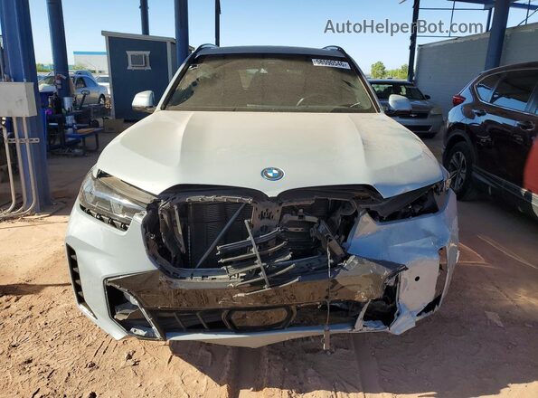 5UX43EU00R9S29494 2024 BMW X5 Gray Вид спереду