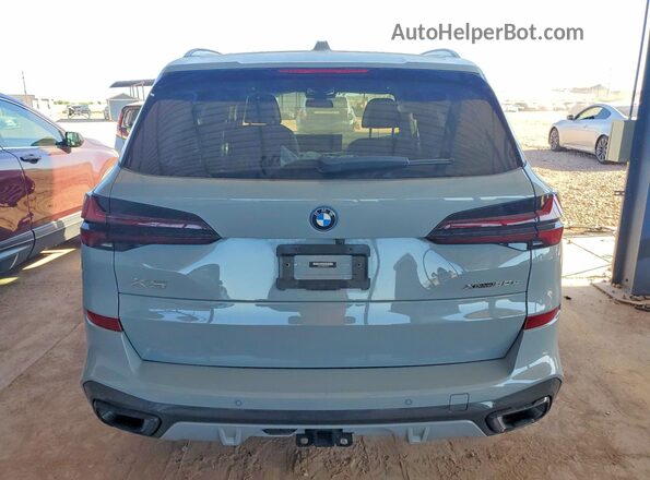 5UX43EU00R9S29494 2024 BMW X5 Gray Вид ззаду