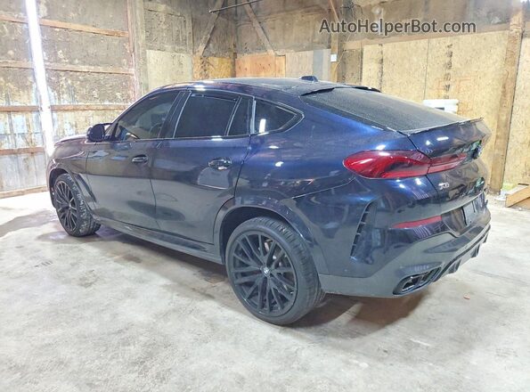 5UX43EX06S9Y05283 2026 BMW X6 Blue Задня ліва чверть