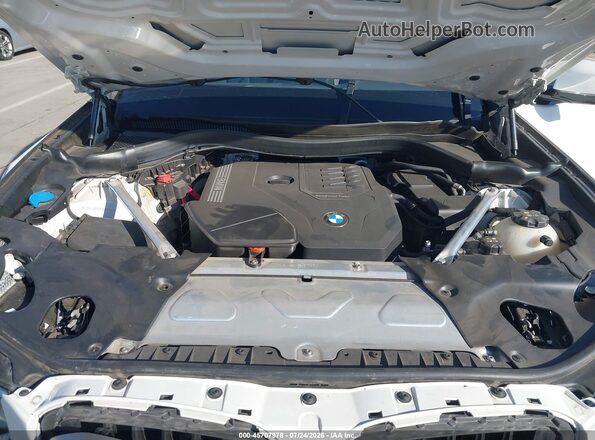 5UX53DP03P9R90981 2023 BMW X3 Белый Вид сзади