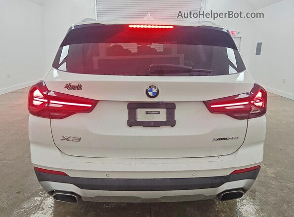 5UX53DP08P9P77637 2023 BMW X3 Белый Вид сзади
