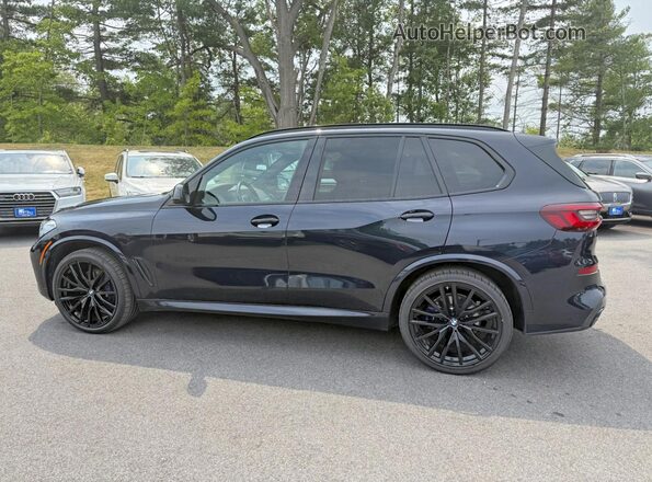5UXCR6C01P9P73033 2023 BMW X5 Черный Вид спереди