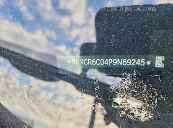 5UXCR6C04P9N69245 2023 BMW X5 Blue VIN sticker view