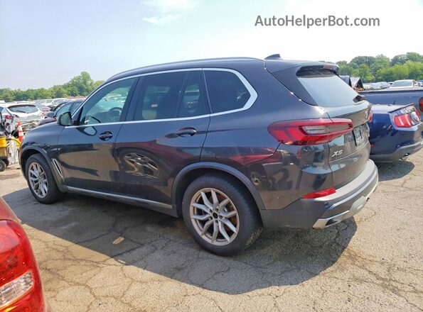 5UXCR6C05P9R35309 2023 BMW X5 Charcoal Հետևի ձախ