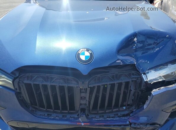 5UXCX4C56KLS37731 2019 BMW X7 Синий Вид задней части салона