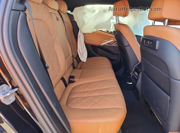 5UXCY6C04P9P85163 2023 BMW X6 Black Widok wnętrza z tyłu