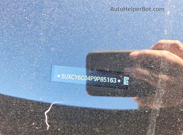 5UXCY6C04P9P85163 2023 BMW X6 Black Widok naklejki z numerem VIN
