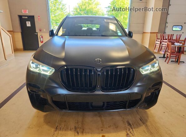 5UXJU4C03P9R05865 2023 BMW X5 Black Widok z przodu