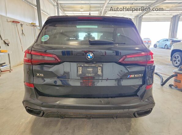 5UXJU4C04P9N83253 2023 BMW X5 Black Widok z tyłu