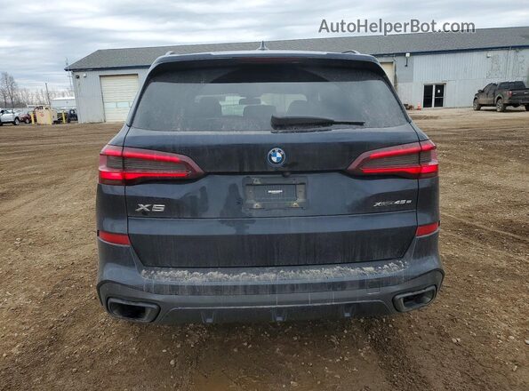 5UXTA6C06P9P23123 2023 BMW X5 Black Հետևի տեսք